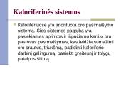Gyvulininkystės patalpų apšildymas ir avių ėriavimosi higiena 17 puslapis