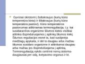 Gyvulininkystės patalpų apšildymas ir avių ėriavimosi higiena 3 puslapis