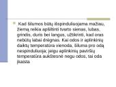 Gyvulininkystės patalpų apšildymas ir avių ėriavimosi higiena 5 puslapis