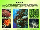 Gyvūnų karalystė (bestuburiai) 5 puslapis