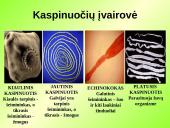 Gyvūnų karalystė (bestuburiai) 9 puslapis