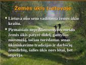 Intensyvaus, prekinio Lietuvos žemės ūkio vystymas Europos Sąjungos kontekste 2 puslapis