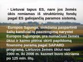 Intensyvaus, prekinio Lietuvos žemės ūkio vystymas Europos Sąjungos kontekste 15 puslapis