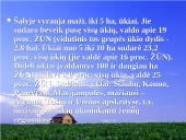 Intensyvaus, prekinio Lietuvos žemės ūkio vystymas Europos Sąjungos kontekste 5 puslapis