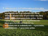 Intensyvaus, prekinio Lietuvos žemės ūkio vystymas Europos Sąjungos kontekste 10 puslapis