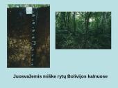 Juosvažemiai (Phaeozems) 11 puslapis