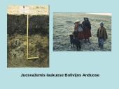 Juosvažemiai (Phaeozems) 12 puslapis