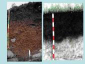 Juosvažemiai (Phaeozems) 13 puslapis