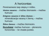 Juosvažemiai (Phaeozems) 4 puslapis