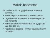 Juosvažemiai (Phaeozems) 6 puslapis