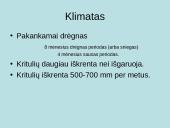 Juosvažemiai (Phaeozems) 8 puslapis