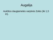 Juosvažemiai (Phaeozems) 9 puslapis