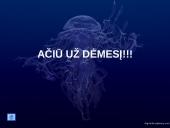 Kompiuterių antivirusinės programos 18 puslapis