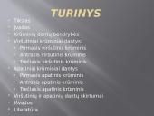Krūminiai dantys 2 puslapis