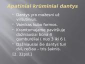 Krūminiai dantys 16 puslapis