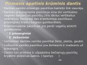 Krūminiai dantys 17 puslapis