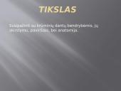 Krūminiai dantys 3 puslapis