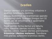 Krūminiai dantys 4 puslapis