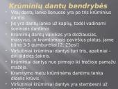 Krūminiai dantys 5 puslapis