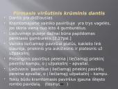 Krūminiai dantys 7 puslapis