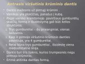 Krūminiai dantys 10 puslapis