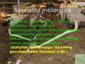 Melioracijos procesas 11 puslapis