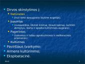 Melioracijos procesas 14 puslapis