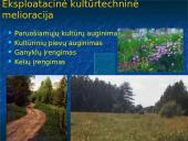 Melioracijos procesas 17 puslapis