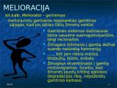 Melioracijos procesas 4 puslapis