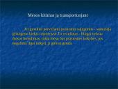 Mėsos sudėties ir komponentų savybių kitimas priklausomai nuo įvairių faktorių 13 puslapis