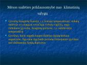 Mėsos sudėties ir komponentų savybių kitimas priklausomai nuo įvairių faktorių 14 puslapis