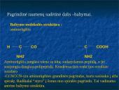 Mėsos sudėties ir komponentų savybių kitimas priklausomai nuo įvairių faktorių 4 puslapis