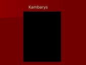 Nekilnojamojo turto vertinimas: butas Alytuje 11 puslapis