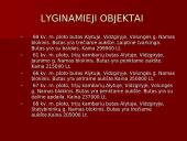 Nekilnojamojo turto vertinimas: butas Alytuje 14 puslapis