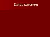 Nekilnojamojo turto vertinimas: butas Alytuje 20 puslapis