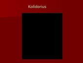 Nekilnojamojo turto vertinimas: butas Alytuje 7 puslapis