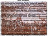 Olimpinės žaidynės anksčiau ir dabar 15 puslapis