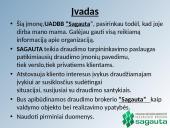 Organizacijos veiklos valdymo praktika: UADBB "Sagauta" 2 puslapis