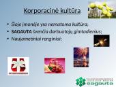 Organizacijos veiklos valdymo praktika: UADBB "Sagauta" 11 puslapis