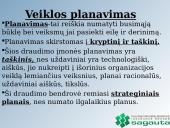 Organizacijos veiklos valdymo praktika: UADBB "Sagauta" 13 puslapis