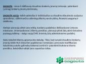 Organizacijos veiklos valdymo praktika: UADBB "Sagauta" 3 puslapis