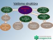 Organizacijos veiklos valdymo praktika: UADBB "Sagauta" 4 puslapis