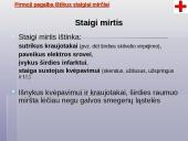 Pirmosios pagalbos teikimas 2 puslapis