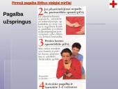 Pirmosios pagalbos teikimas 18 puslapis