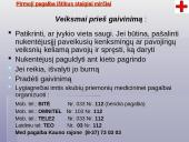 Pirmosios pagalbos teikimas 6 puslapis