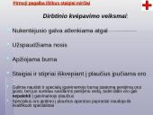 Pirmosios pagalbos teikimas 7 puslapis