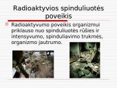 Radioaktyvumo problema 4 puslapis