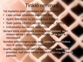 Šiuolaikiniai mokymo(si) metodai 19 puslapis