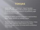 Tokijas. Japonija 2 puslapis