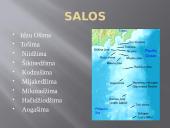 Tokijas. Japonija 11 puslapis